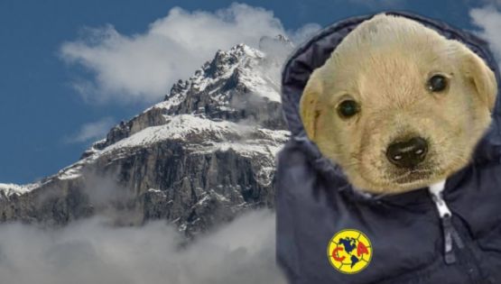 Los MEMES del Clásico Capitalino entre Club América vs Pumas por el Apertura 2023