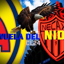 ¡Otra baja! Club América podría DEJAR IR a otro jugador al Necaxa