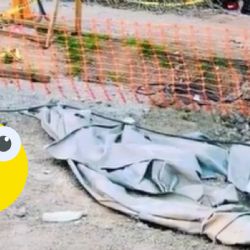 ¡IRRECONOCIBLE! Así está quedando la CANCHA del Estadio Azteca para el Mundial de 2026