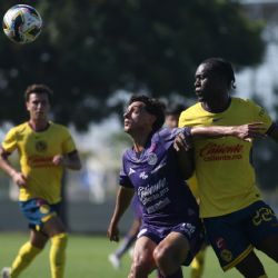 Llegó como refuerzo apenas este torneo y su hermano quiere seguirlo en el Club América