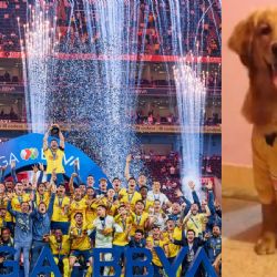 Club América hace DEDICATORIA ESPECIAL del Tricampeonato a perrita americanista fallecida