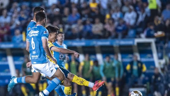 Recopilación de GOLES del Club América rumbo al TRICAMPEONATO DESATA alegría en la afición