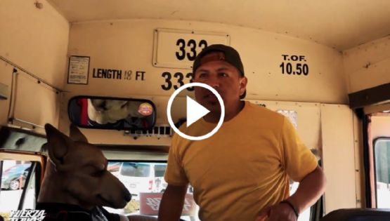 Xolos de Tijuana SE BURLA del Club América al anunciar su CALENDARIO en el Apertura 2024