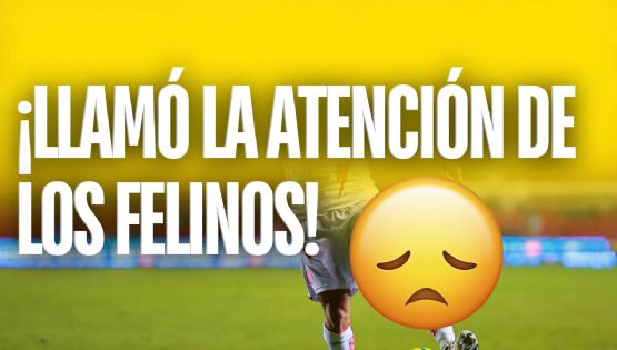 Pumas busca ROBARLE FICHAJE al Club América para el Apertura 2024