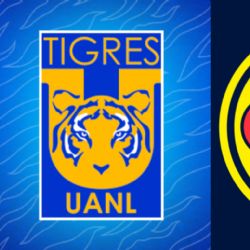 ESTRELLA de Tigres se abre como NUEVA OPCIÓN de REFUERZO para el Club América
