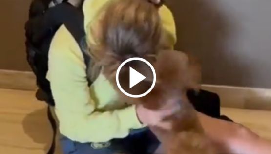 ¡Para llorar! Así fue el CONMOVEDOR REENCUENTRO de Sandra Paños con su perrito