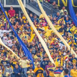 Las MEJORES PROMESAS de la afición del Club América si se logra el TRICAMPEONATO