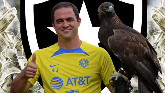 Ya NEGOCIÓ con la directiva y hay PELIGRO REAL de que André Jardine se VAYA del Club América