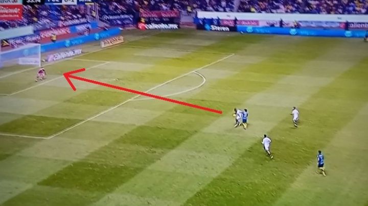 Comisión de Arbitraje ACLARA supuestas ayudas arbitrales a favor del Club América