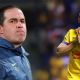 André Jardine confirma la PEOR NOTICIA para Henry Martín y el Club América