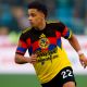 Se filtra el delantero que realmente pidió André Jardine a la directiva del Club América